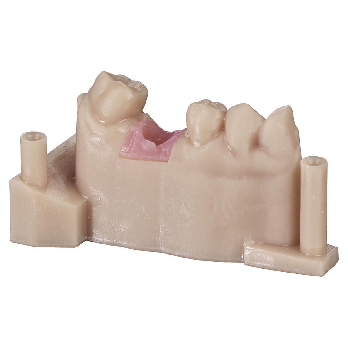 RESINA ZIRLUX GINGIVA MASK - Rosa - Confezione da 500 gr