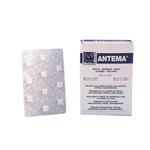 ANTEMA - Confezione: 15 feltri (cm 3 x 1,5 x 0,5)