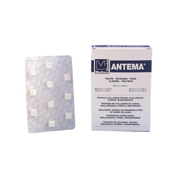 ANTEMA - Confezione: 15 feltri (cm 3 x 1,5 x 0,5)