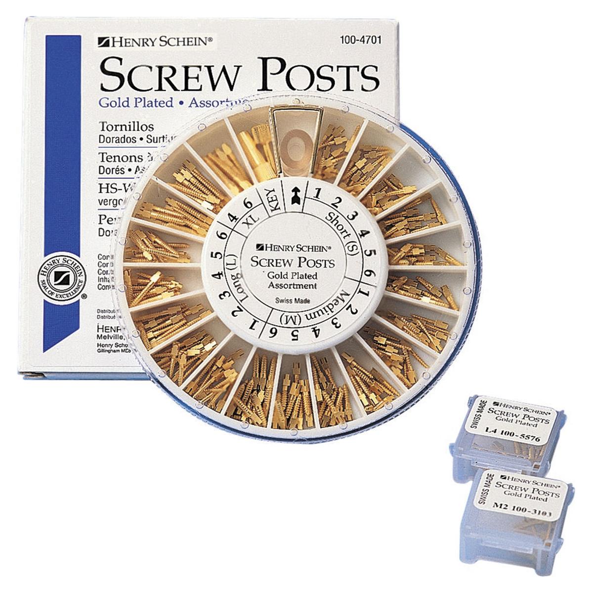 SCREW POSTS DORATE ASSORTIMENTO - 240 viti + 2 cacciaviti