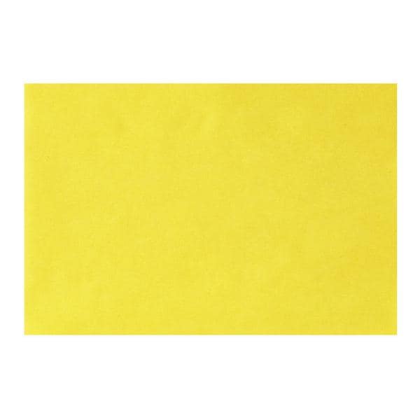 TRAY FILTER PAPER - STD cm 18x28 - Giallo - 250 pz