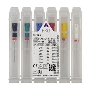 STRUMENTARIO CANALARE H-FILES ASSORTIMENTI - Assortimento 45-80 - lunghezza 31 mm