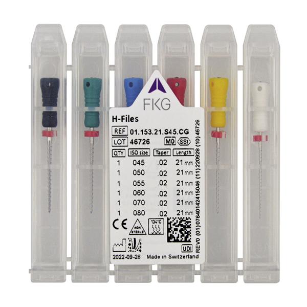 STRUMENTARIO CANALARE H-FILES ASSORTIMENTI - Assortimento 45-80 - lunghezza 31 mm