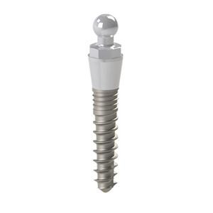 MINI IMPIANTI EASYFIX - Lunghezza 11 mm - altezza mucosa 3 mm