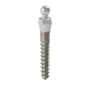 MINI IMPIANTI EASYFIX - Lunghezza 13 mm - altezza mucosa 2 mm