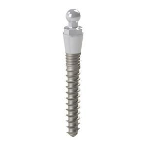 MINI IMPIANTI EASYFIX - Lunghezza 15 mm - altezza mucosa 3 mm