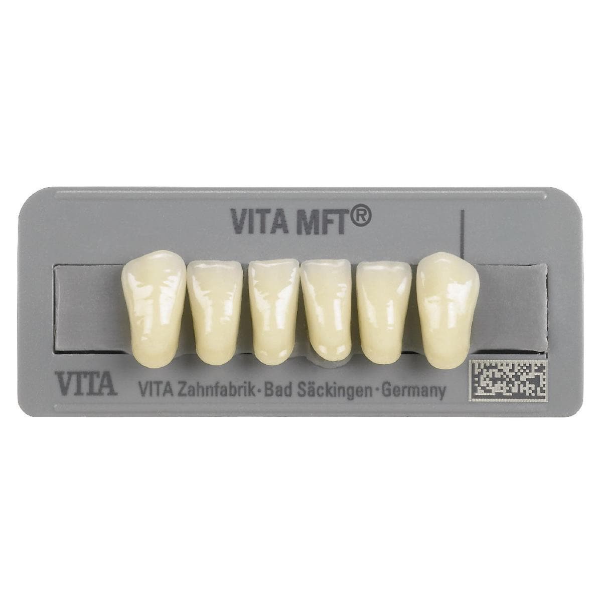 DENTI MFT anteriori inferiori - Inferiori L37 colore A3,5