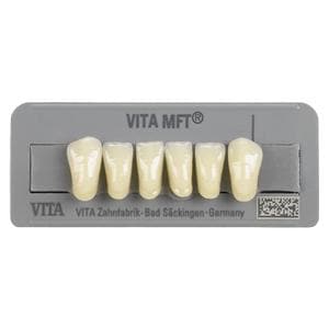 DENTI MFT anteriori inferiori - Inferiori L33 colore A1