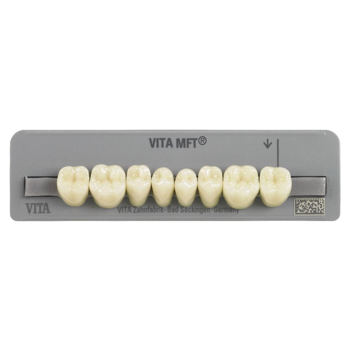 DENTI MFT posteriori inferiori - Inferiori PL29 colore A3