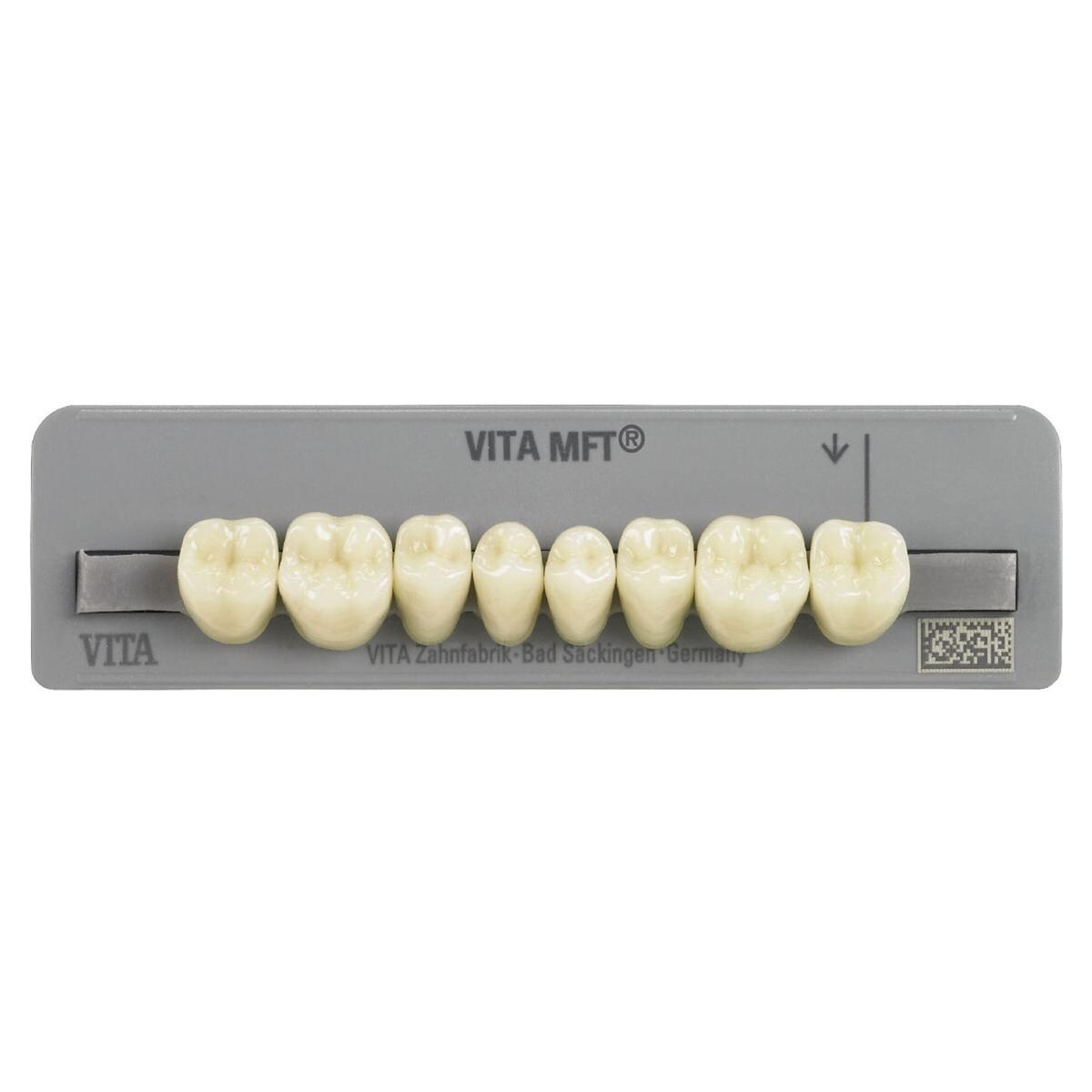 DENTI MFT posteriori inferiori - Inferiori PL29 colore A1