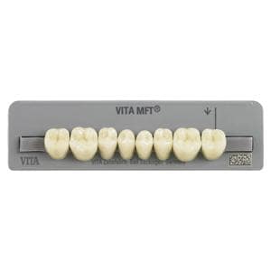 DENTI MFT posteriori inferiori - Inferiori PL29 colore A1
