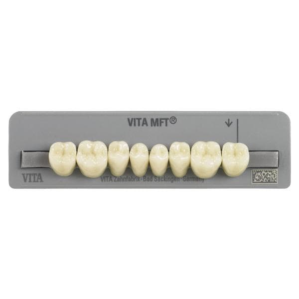 DENTI MFT posteriori inferiori - Inferiori PL29 colore A1