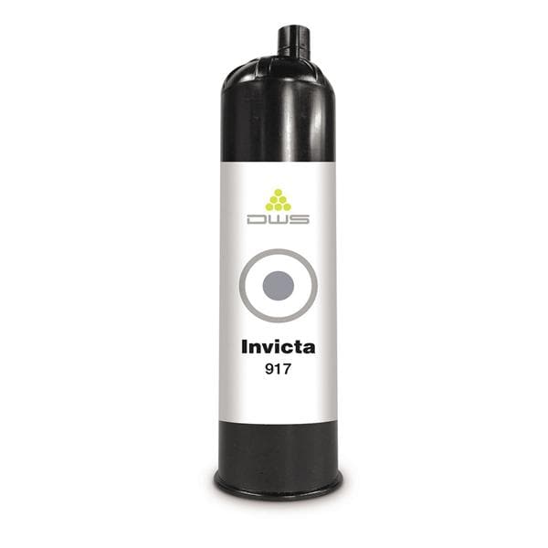 RESINA INVICTA - 917 - Grigio chiaro