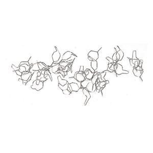 LEGATURE METALLICHE PREFORMATE CORTE - Misura .010"