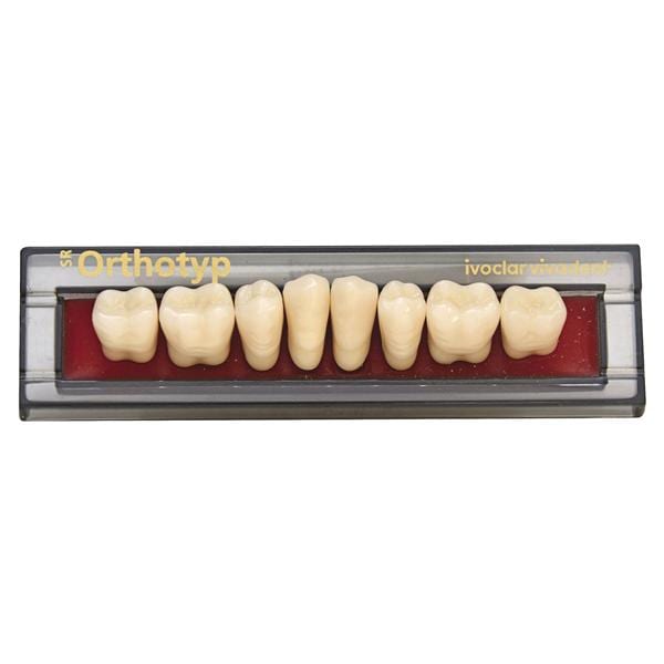 SR ORTHOTYP posteriori inferiori - Inf. N2 colore O1/110 SR Vivodent PE/SR Chromascope