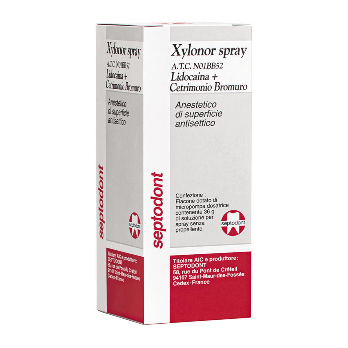 XYLONOR SPRAY (AD ESAURIMENTO) - Flacone da 36 g con cannula erogatrice