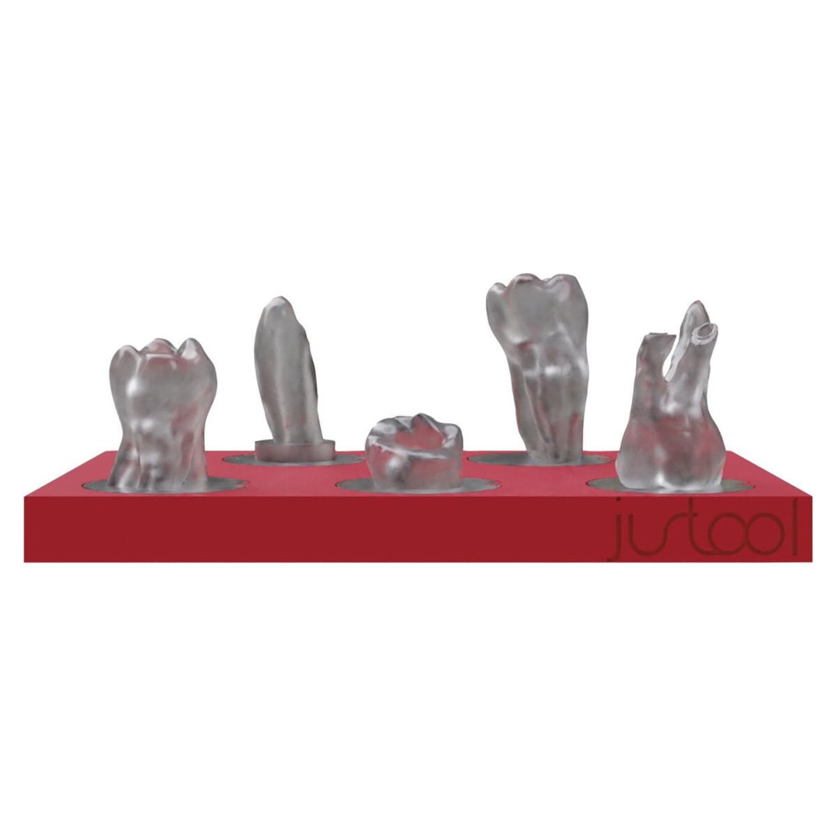 TRAINER MITICA (AD ESAURIMENTO) - Tray con 5 denti con casi diversi