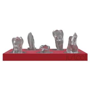 TRAINER MITICA (AD ESAURIMENTO) - Tray con 5 denti con casi diversi
