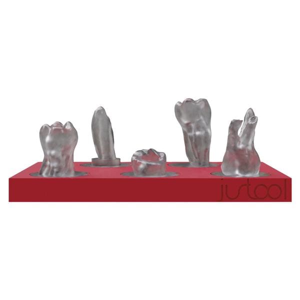 TRAINER MITICA (AD ESAURIMENTO) - Tray con 5 denti con casi diversi