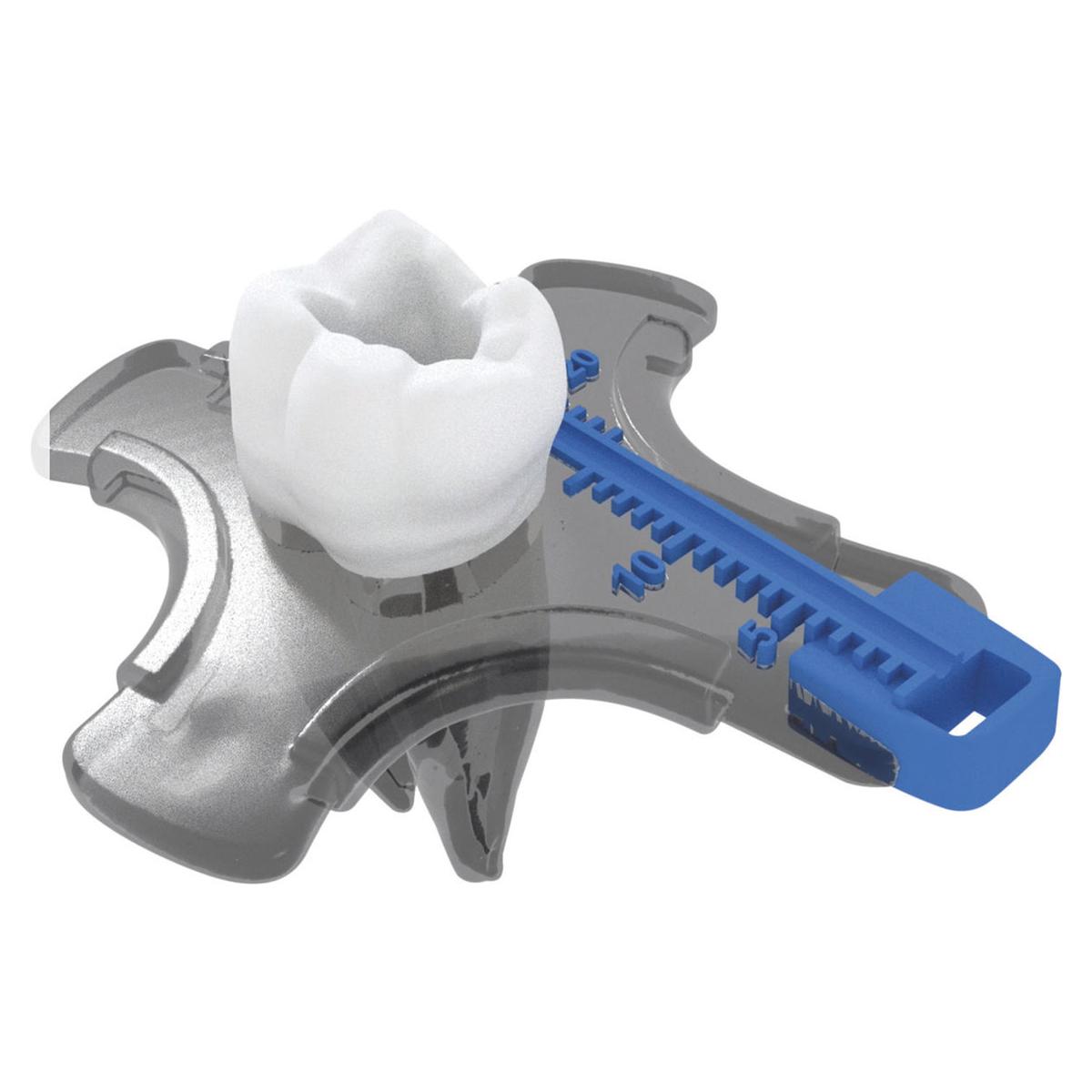 TRAINER UFO (AD ESAURIMENTO) - Trainer con 12 denti con anatomie diverse