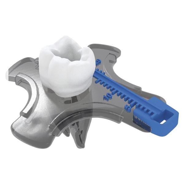 TRAINER UFO (AD ESAURIMENTO) - Trainer con 12 denti con anatomie diverse