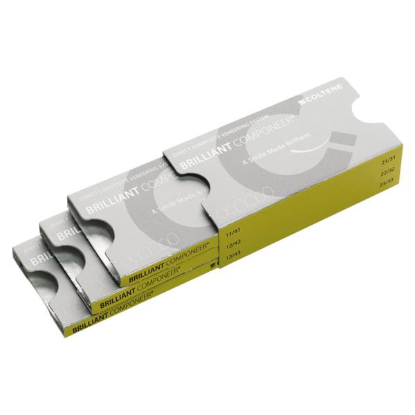 BRILLIANT COMPONEER SET INFERIORI - Colore Translucent - Misura S