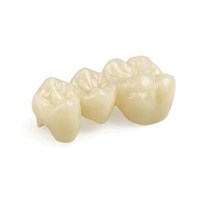 RESINA TEMPORIS DD-1000 - A3